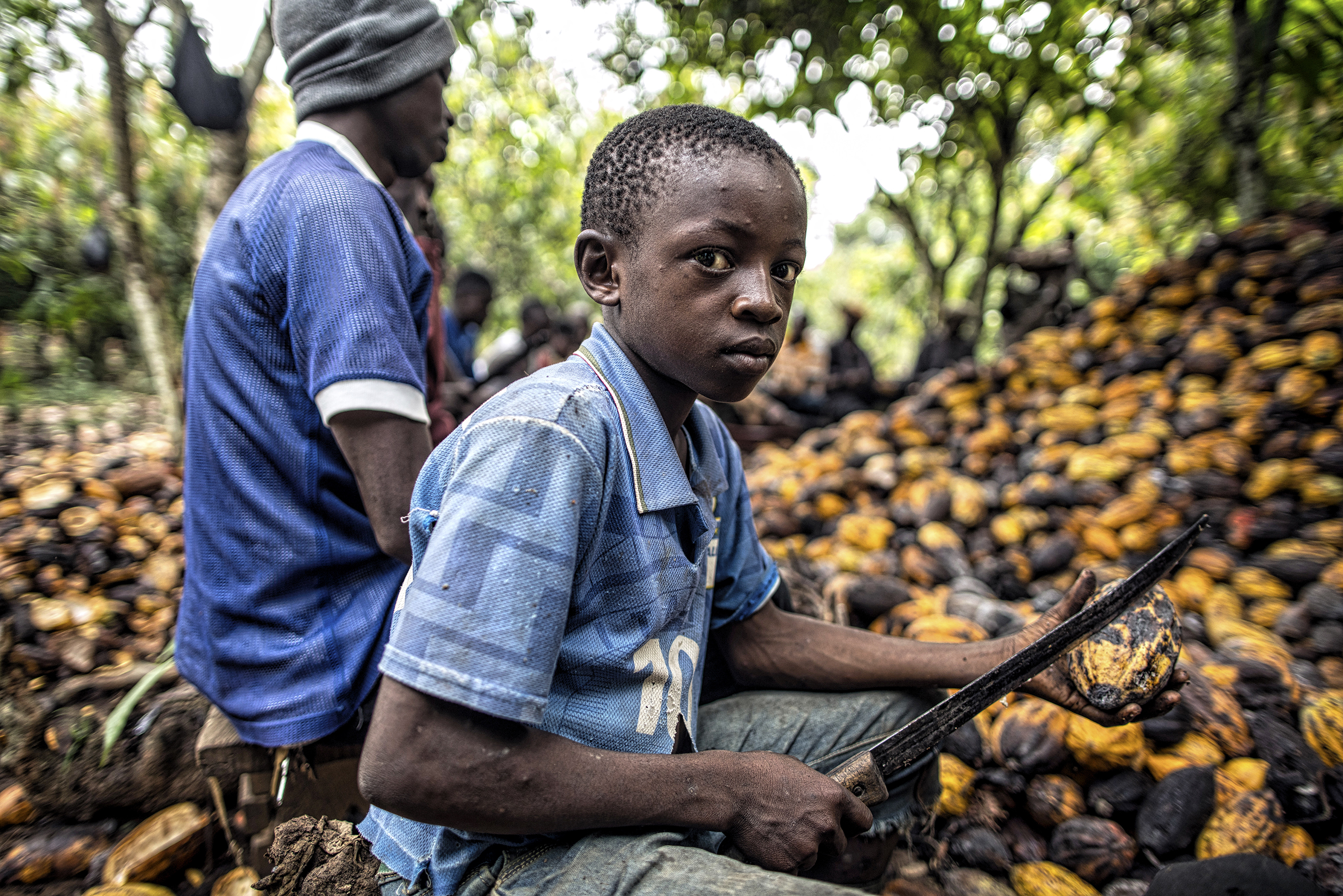 Child chocolate worker in the Ivory Coast (Fortune, 3/1/16) (photo: Benjamin Lowy)